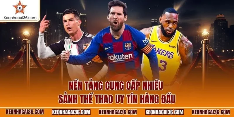 Nền tảng cung cấp nhiều sảnh thể thao uy tín hàng đầu 